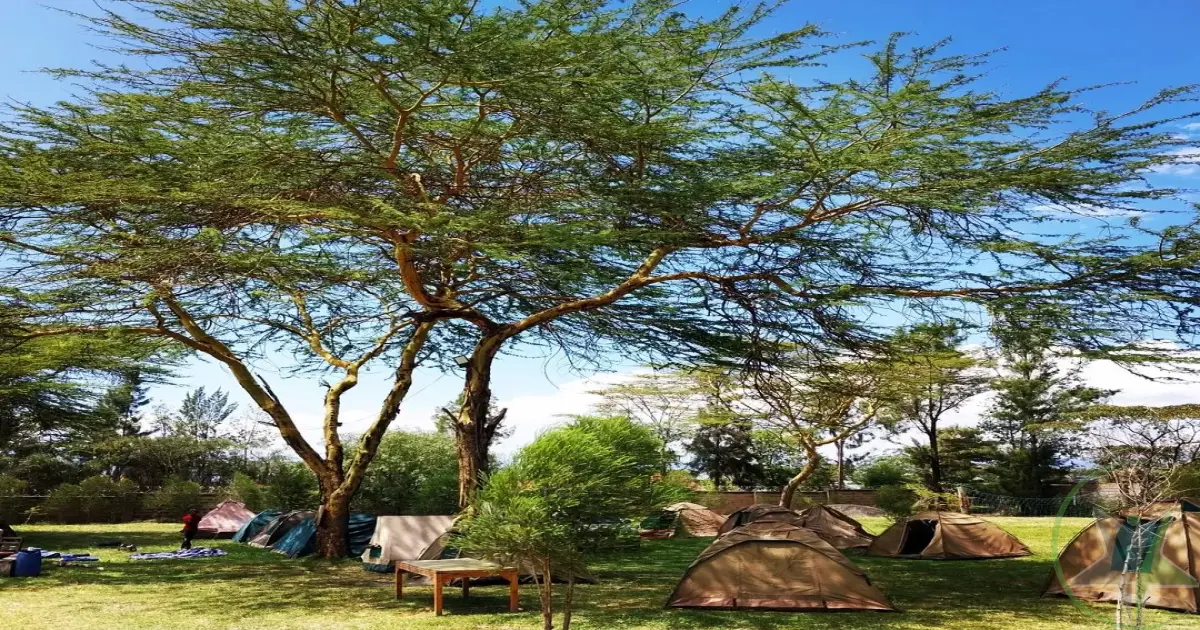 Jaza Naivasha Resort