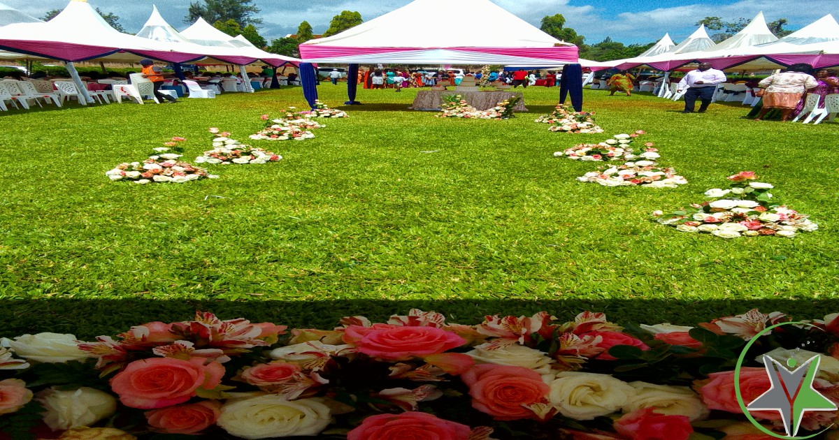 Mbuga FARM and Gardens.