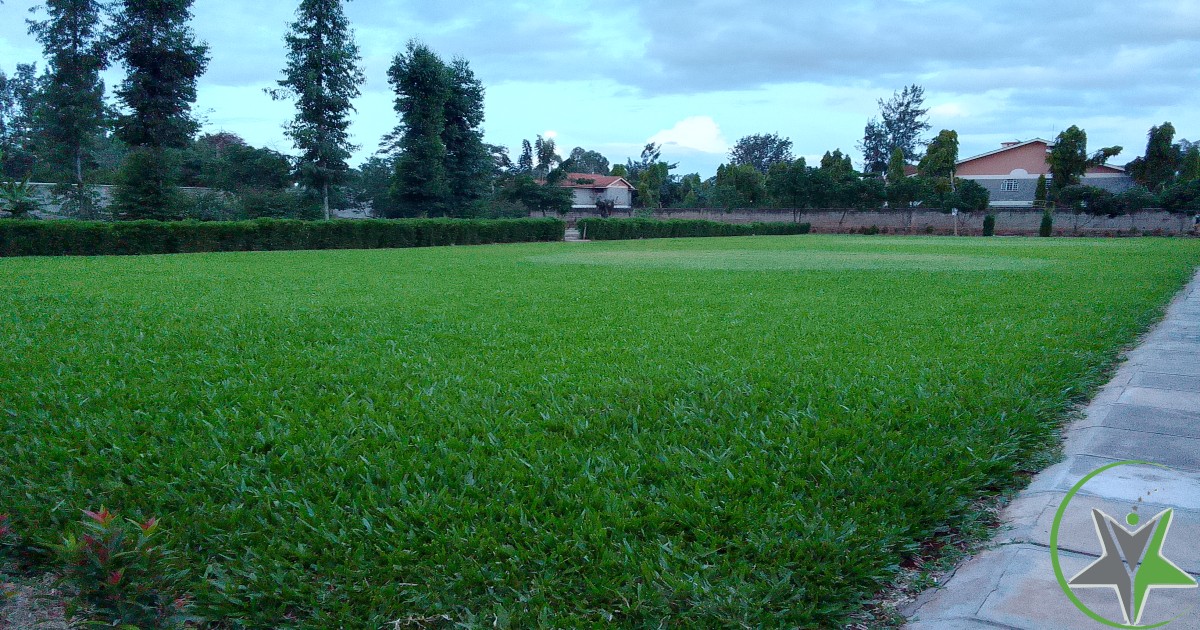 Mbuga FARM and Gardens.